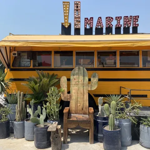 Busmarine by day